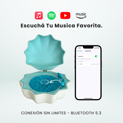 Shellio™: Tu refugio de calma oceánica.
