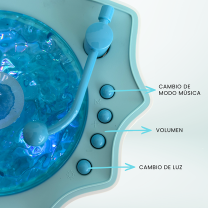 Shellio™: Tu refugio de calma oceánica.